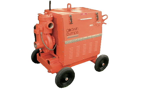 CD80Q 3