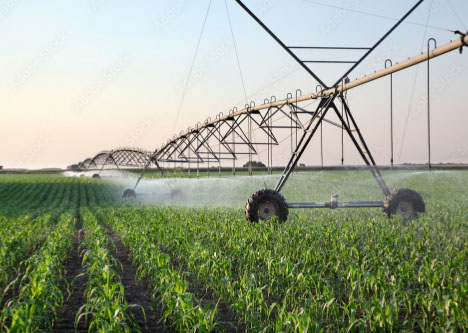 Agricultural